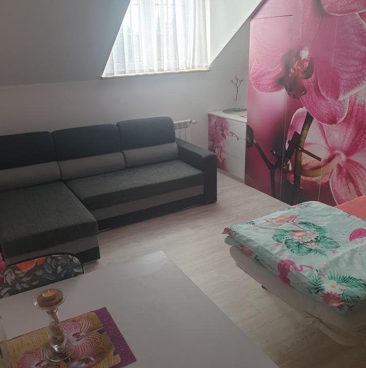 Dom Goscinny Vollare Ujście-Darłowskie Exterior foto